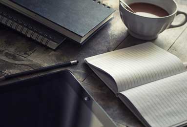 2002年NBA奇才vs公牛经典对决：速度与防守的巅峰之战